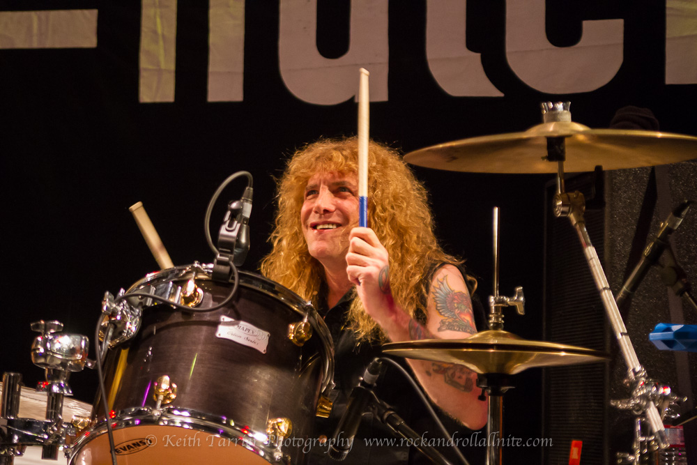 The Dead Daisies Live